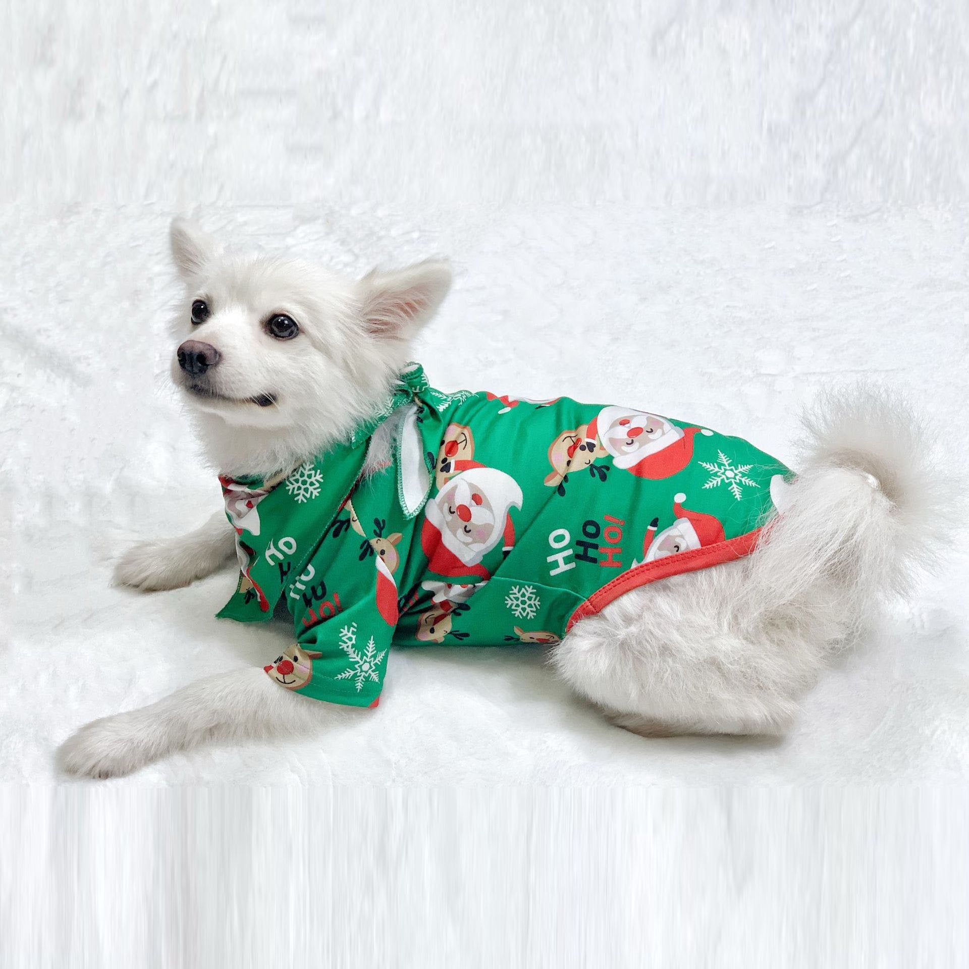 Christmas Santa Claus Print Family Couples Matching Pajamas Party Sets - ciclove